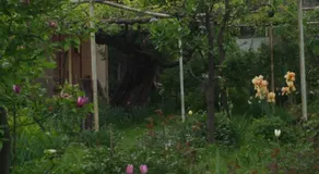 Tsinandlis Edemi - Image 2
