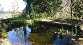 Quinta Da Mata - Image 2
