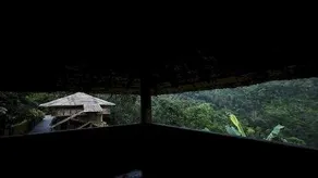 Ecotones Munnar - Image 5
