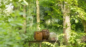 "Buitendijks Genieten" - Image 4