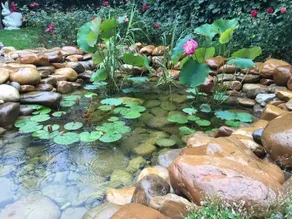 Miyue Zhilian Hotel - Image 5