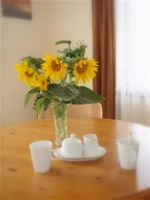 Vidam Haz - Image 4
