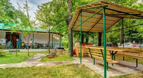 Green Hotel - Image 2