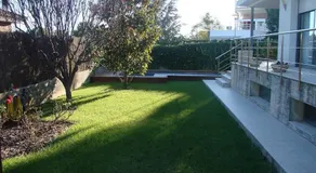 Cal Toni - Image 5