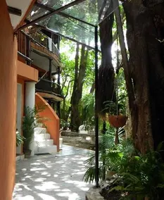 Casa Freud - Image 3