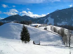 Mittergruberhof - Image 5