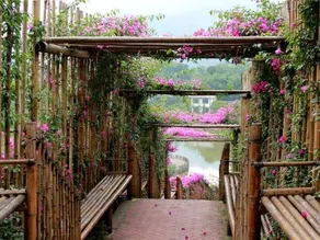 PHOENIX FLOWER DOCK HOTEL - Image 2