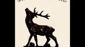 Wonder Deer Luxury Aptartment at the Parliament contactless check-in - Image 4