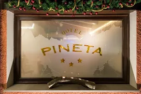 Hotel Pineta - Image 2