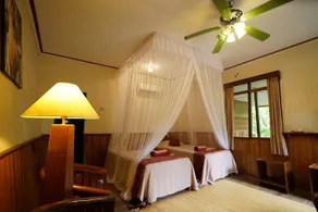 Rimba Orangutan Ecolodge - Image 4