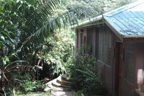 Maya Creek Jungle Lodge - Image 2