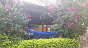 Summer Place - Image 3