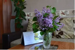 Arina Apartment - Image 2