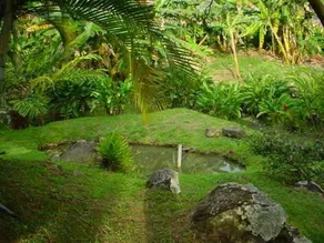 Finca El Paraiso Barbosa - Image 2