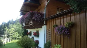 Haus Langegger Resi - Image 5