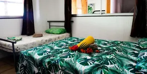 Pension Te Miti - Image 3