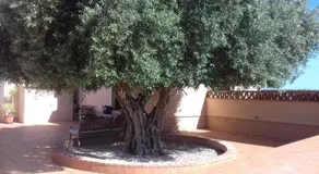 Finca Milagro - Image 2