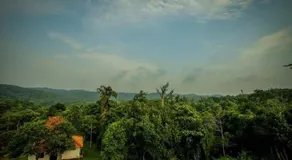 Aadhavana Homestay - Sakleshpur - Image 2