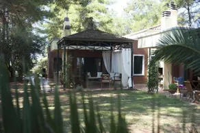 Holiday House in Afytos - Image 2