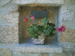 Tiu Xico - Image 2