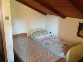 Festival House - Image 4