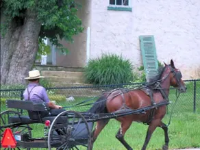 Harvest Drive Family Inn Intercourse - Amish Country - Image 2
