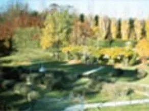 Lavender Garden Tea Rooms & Accommodation - Image 1