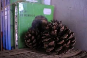 Xiangmo Youth Hostel - Image 4