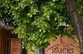 Raices - Image 5