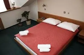 Zonta - Image 3