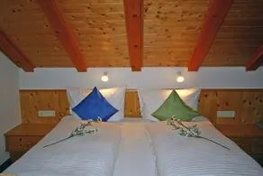 Alpenapartments Elisabeth - Image 4