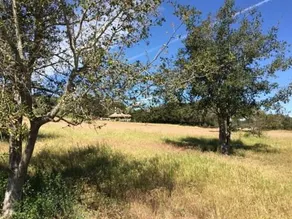 Ballard Canyon Ranch - smukt hjem på 20 hektar i vinlandet - Image 3
