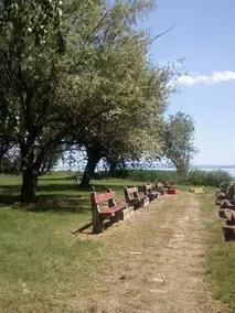 Revfülöp - Image 4