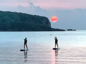 The Iriomote Island  Hotel Hoshitate - Image 3