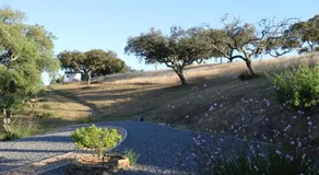 Monte Novo da Sobreira, rust en ruimte in zuid Alentejo - Image 5