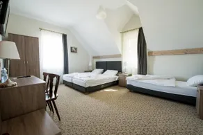 Nadwarcianski Dworek Mlodzikowo - Image 3