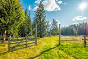 The Old Logging Camp - Image 4