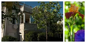 Apartment Villa Paula - Image 2