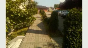 Studio Dunja - Image 2