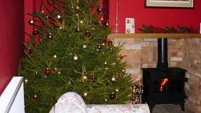 Mareham House Bed & Breakfast - Image 4