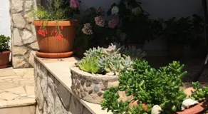 Apartmani Roxy - Image 4