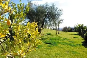 Hotel Forliano - Image 4