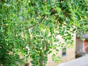 Yunqi Hostel - Image 2