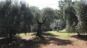 Villa Violetta - Image 3