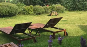 Lesny Apartament - Image 3