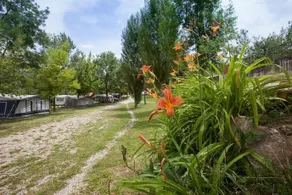 Camping El Bergueda - Image 4