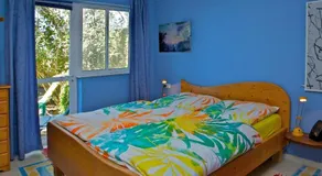 CASA FLORES - Image 5