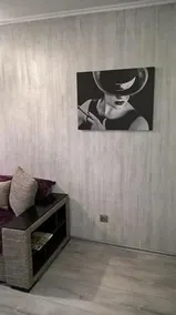 Studio Zebra - Image 4