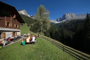Plafotsch-Alm - Image 5