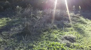 Las Solanas del Pilar - Image 2